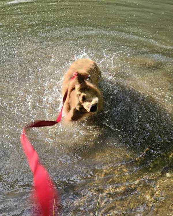 Den Alltag einfach abschütteln